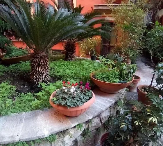 Grazioso Ai Musei Vaticani Apartamento Roma